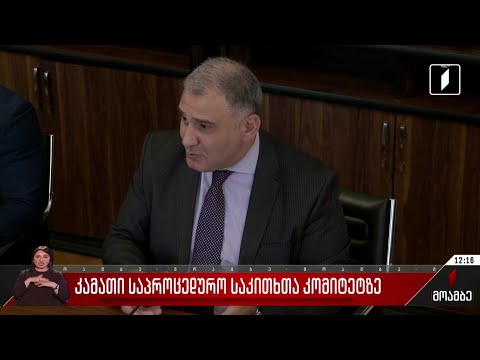 კამათი საპროცედურო საკითხთა კომიტეტზე